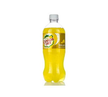 New Canada Dry Pineapple 20oz