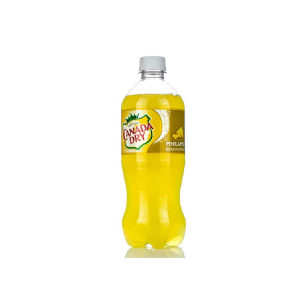 New Canada Dry Pineapple 20oz