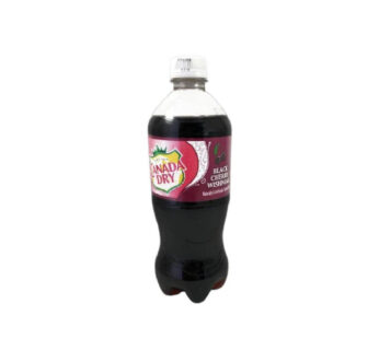 New Canada Dry Black Cherry Wishniak 20oz